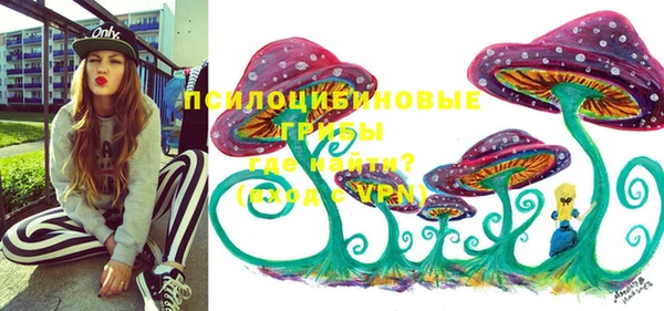 ПСИЛОЦИБИНОВЫЕ ГРИБЫ Алексин