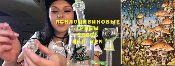 крисы Алексеевка