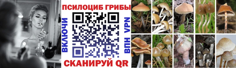 Псилоцибиновые грибы Cubensis  Нефтекумск 