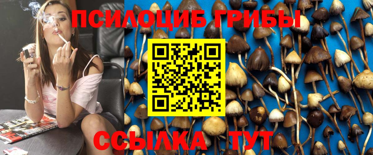 Галлюциногенные грибы Cubensis  Галлюциногенные грибы Psilocybine cubensis  даркнет сайт  Вход с VPN  Нефтекумск 