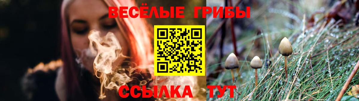 Псилоцибиновые грибы Psilocybine cubensis Нефтекумск